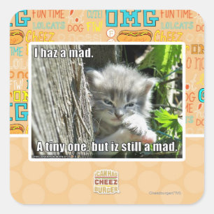 Ik ben gek vierkante sticker