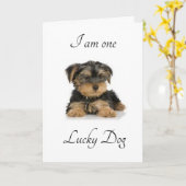 IK BEN "GEMAAKT MET JE", MAAR IK BEN KAART (Gele Bloem)