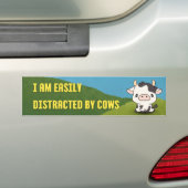 Ik ben gemakkelijk afgeleid door Koeien - Funny Ca Bumpersticker (Op auto)