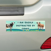Ik ben gemakkelijk afgeleid door Koeien, grappig s Bumpersticker (Op auto)