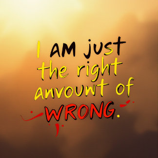 Ik ben gewoon de juiste hoeveelheid fout t-shirt