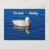 Ik ben gewoon Ducky Briefkaart (Voorkant)