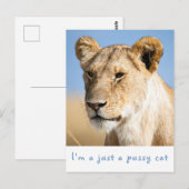 Ik ben gewoon een poeskat-leeuwfoto met tekst briefkaart (Voorkant / Achterkant)