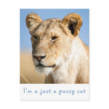 Ik ben gewoon een poeskat-leeuwfoto met tekst