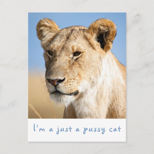 Ik ben gewoon een poeskat-leeuwfoto met tekst briefkaart (Voorkant)