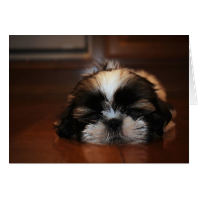 Ik ben gewoon mijn ogen-blanco kaart aan het ruste (Voorkant Horizontaal)