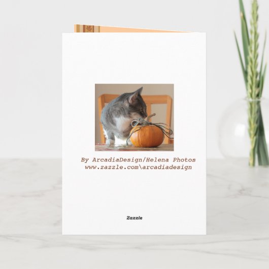 Ik ben gezegend Thanksgiving Wenskaart met Kat Feestdagen Kaart (Achterkant)