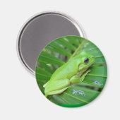 Ik ben groen magneet (Voorkant / Achterkant)