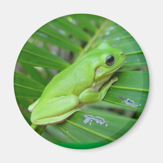 Ik ben groen magneet (Voorkant)