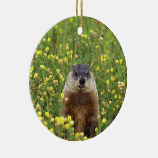 Ik ben Groundhog Keramisch Ornament (Rechts)