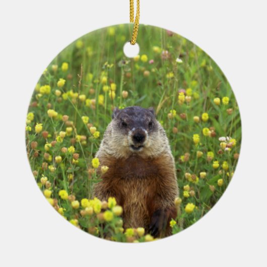 Ik ben Groundhog Keramisch Ornament (Voorkant)