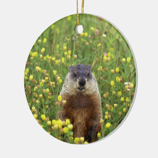Ik ben Groundhog Keramisch Ornament (Links)