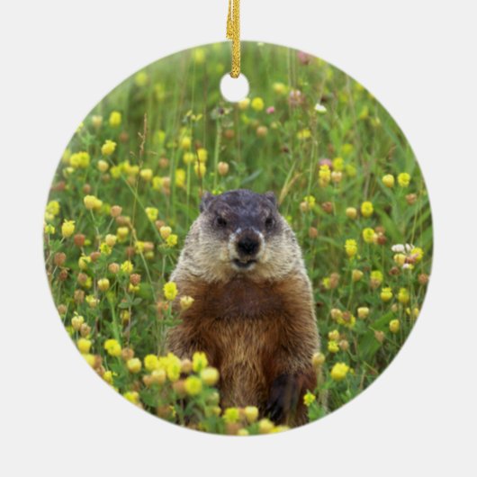 Ik ben Groundhog Keramisch Ornament (Achterkant)