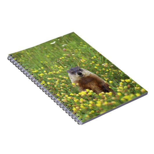 Ik ben Groundhog Notitieboek (Rechterzijde)