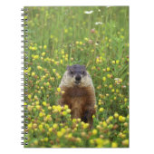Ik ben Groundhog Notitieboek (Voorkant)