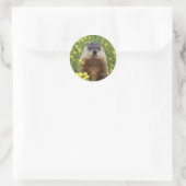 Ik ben Groundhog Sticker (Tas)