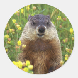 Ik ben Groundhog Sticker