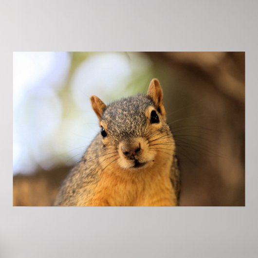 Ik ben heimelijk subversief. Mwah, hah, hah. Poster (Voorkant)