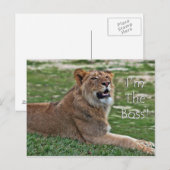 Ik ben het Boss Lion briefkaart (Voorkant / Achterkant)