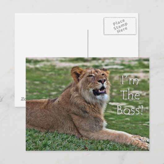 Ik ben het Boss Lion briefkaart (Voorkant / Achterkant)