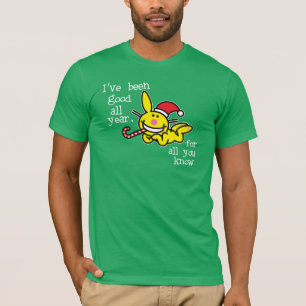 Ik ben het hele jaar goed geweest t-shirt