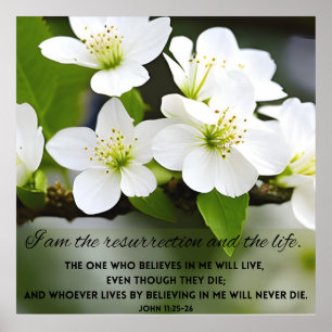 Ik ben het Motivatie Bijbelverse Poster voor herst