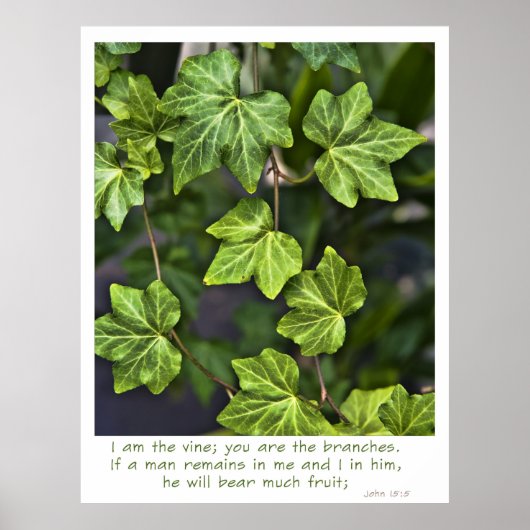 Ik ben het Poster John 15:5 citaat (Voorkant)