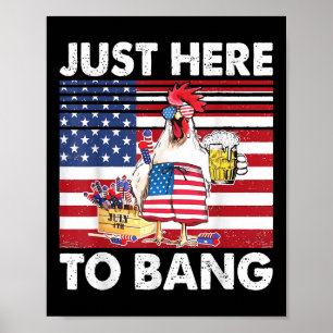 Ik ben hier alleen voor de knal Grappige vuurwerk Poster