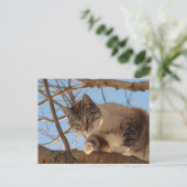 Ik ben hier briefkaart (Staand voorkant)