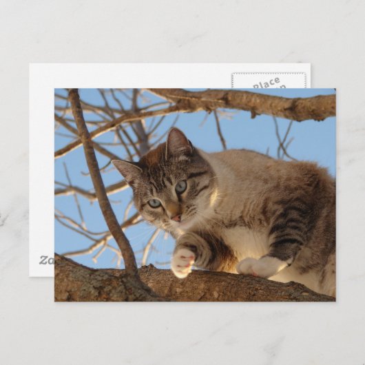 Ik ben hier briefkaart (Voorkant / Achterkant)