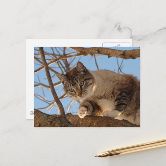 Ik ben hier briefkaart (Voorkant / Achterkant in situ)