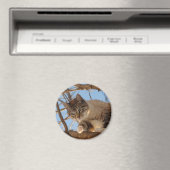 Ik ben hier. magneet (Insitu (Vaatwasser))