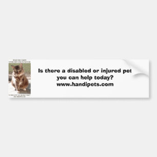 Ik ben hier vandaag bumpersticker