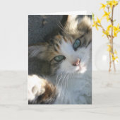 Ik ben hier voor je Kaart (Gele Bloem)