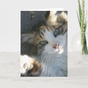 Ik ben hier voor je Kaart