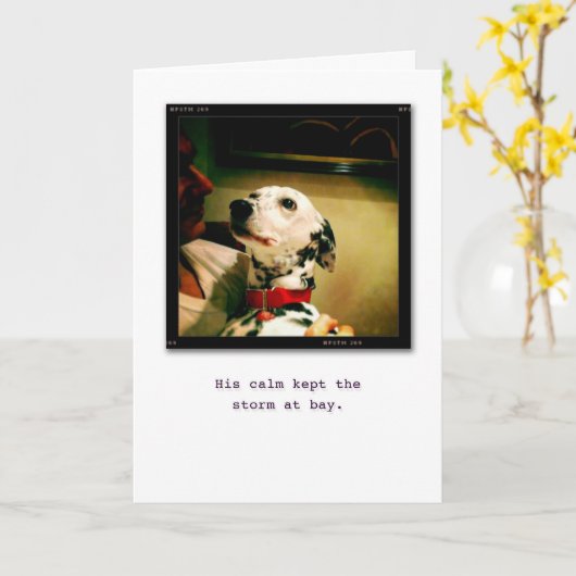 Ik ben hier voor u kaart (Gele Bloem)