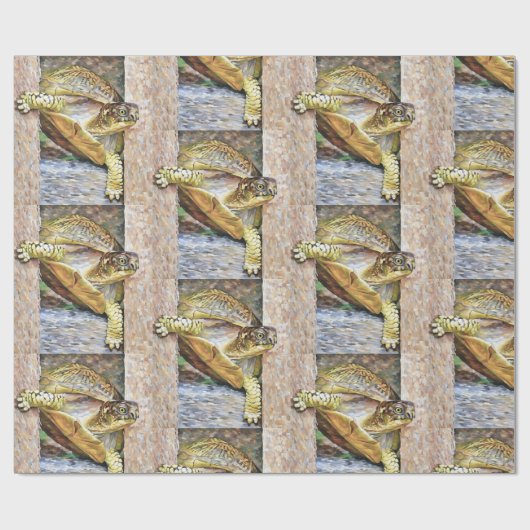 Ik ben hier weg! doosschildpad cadeaupapier (Vlak)