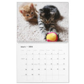 Ik ben in Katten en Kittens van de Kalender (Mar 2026)