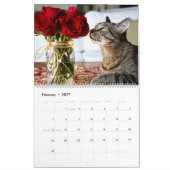 Ik ben in Katten en Kittens van de Kalender (Feb 2027)