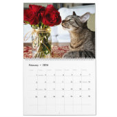 Ik ben in Katten en Kittens van de Kalender (Feb 2026)
