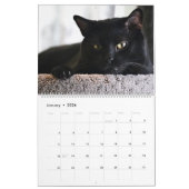 Ik ben in Katten en Kittens van de Kalender (Jan 2026)