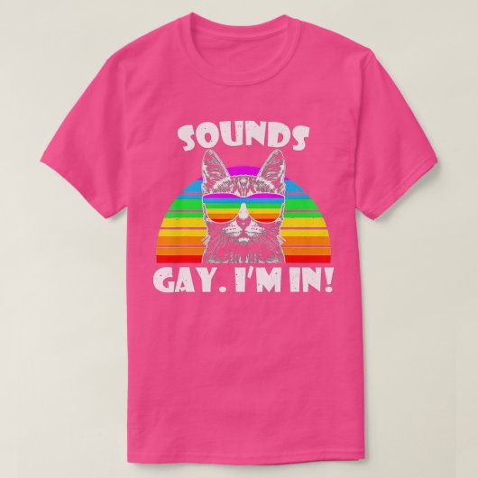 Ik ben in Rainbow Cat Pride Retro Cat Gay T-shirt (Design voorkant)