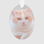 Ik ben in vorm aangepast ornament (achterkant)