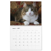 Ik ben Into Cats and Kittens of Course 2020 Calend Kalender (Mar 2027)