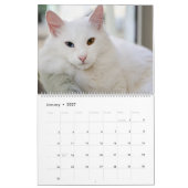 Ik ben Into Cats and Kittens of Course 2020 Calend Kalender (Jan 2027)