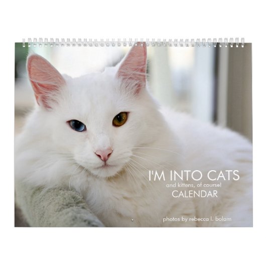 Ik ben Into Cats and Kittens of Course 2020 Calend Kalender (Hoes)