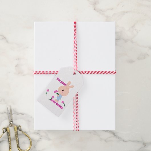 Ik ben je favoriete Bunny Cadeaulabel (Met Touw)