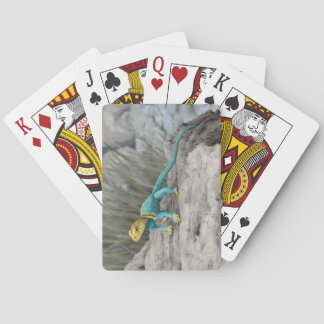 Ik ben je pokerkaarten