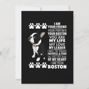 Ik ben je vriend, je partner, je Boston Terrier Aankondiging