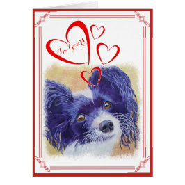 IK BEN JULLIE VALENTIJN ZWART EN WITTE PAPILLON